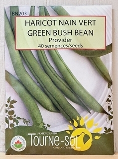 SEEDS - Beans Green Bush - Provider (Tourne-sol)